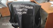Александр Бастрыкин взял на контроль дело о жесткости в адрес ребенка в челябинском лагере