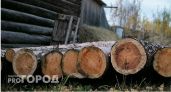 В Челябинской области пресекли канал контрабанды лесоматериалов