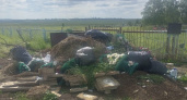 В Челябинской области ликвидирована свалка у кладбища после вмешательства прокуратуры