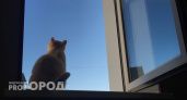 В Челябинской области пожилая женщина вынуждена выходить из дома через окно