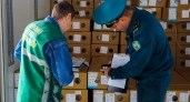 В Челябинскую область привезли семь тонн цветов из Китая ко Дню знаний 