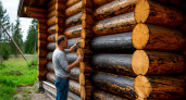Натуральный щелок из золы: как осветлить почерневшие бревна — лучше любых профессиональных средств