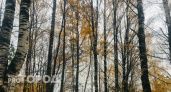 Синоптики рассказали о погоде в октябре в Челябинской области
