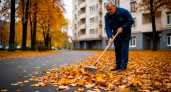 Когда золотая осень совсем не в радость: жильцам озвучили, куда жаловаться, если во дворе не убирают осеннюю листву