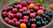 Зимние ягоды: почему полезные продукты могут навредить вашему организму